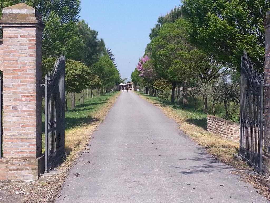 알폰시네 Agriturismo L'Angelina 빌라 외부 사진