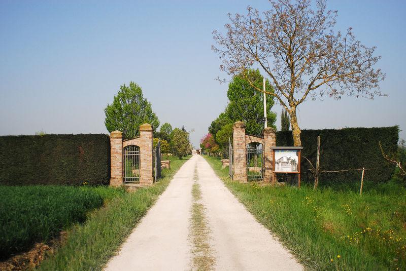 알폰시네 Agriturismo L'Angelina 빌라 외부 사진